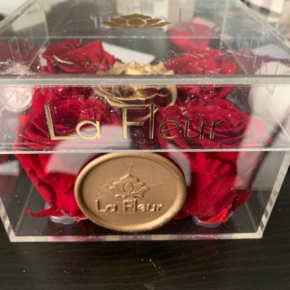 La Fleur everlasting roses (3-5 yrs) - Picture 2 of 5